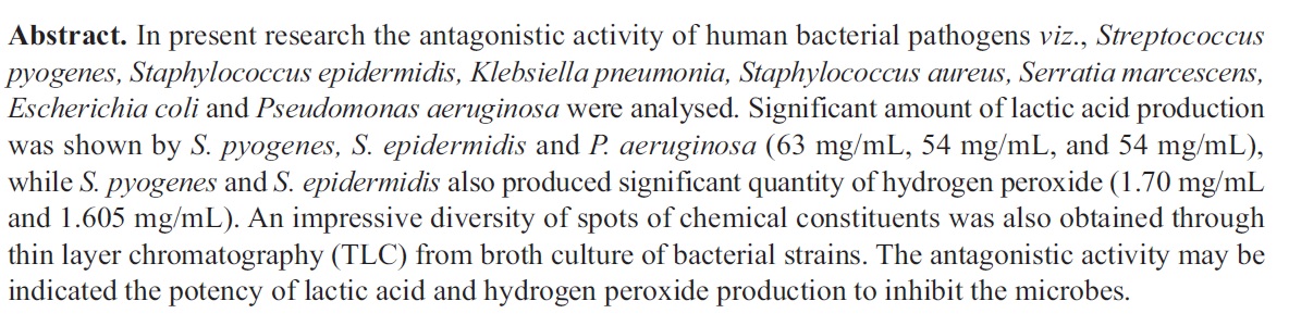 Article_7_Bio_31.jpg